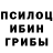 Галлюциногенные грибы Magic Shrooms igor gorunov