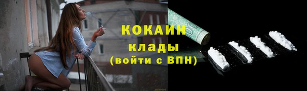 дживик Вязьма