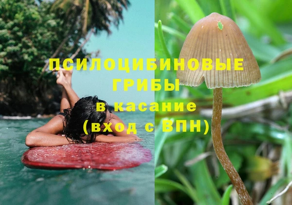 трава Горняк