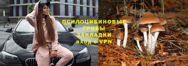 трава Горняк