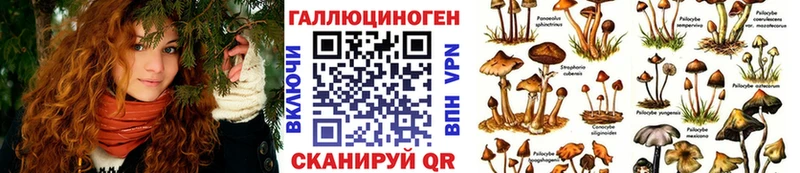 Псилоцибиновые грибы Cubensis  Уржум 